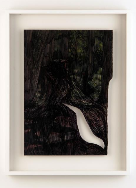 Amie DICKE When The Night Falls Secret Lakes Come Out (forest), 2006