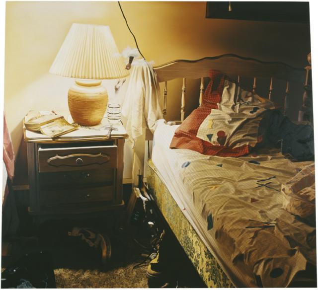 Dan COLEN The Cloud and the Ghost (The birds and the bees)