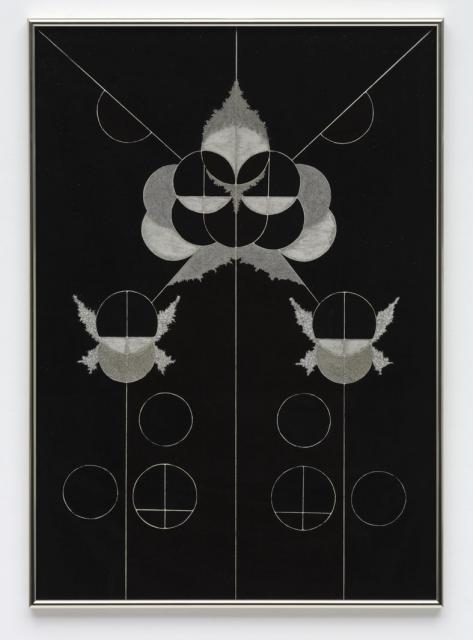 Delia Gonzalez untitled, 2006