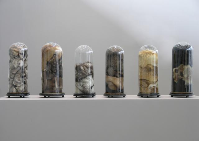 Amie DICKE Bell Glasses, 2005