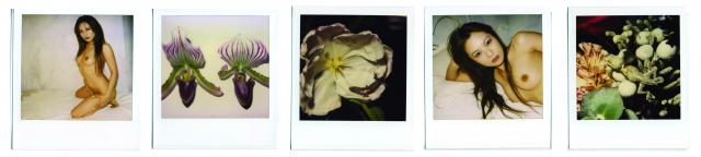 Nobuyoshi Araki Pola Eros (set 5), 2007