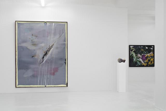  Sgozzata - Installation view