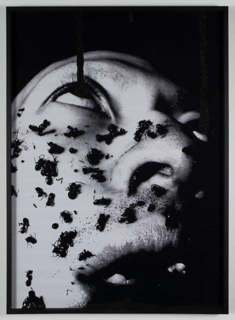 Terence KOH Armageddon, 2007