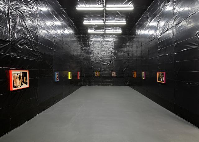 assume vivid astro focus Installation View, 2008