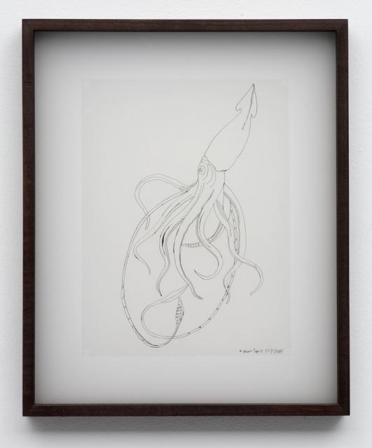 assume vivid astro focus Untitled (giant squid), 2005