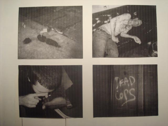Dash SNOW Installation view