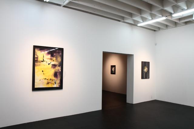 John KLECKNER Installation view
