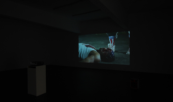 Bruce LaBruce Installation View, 2010