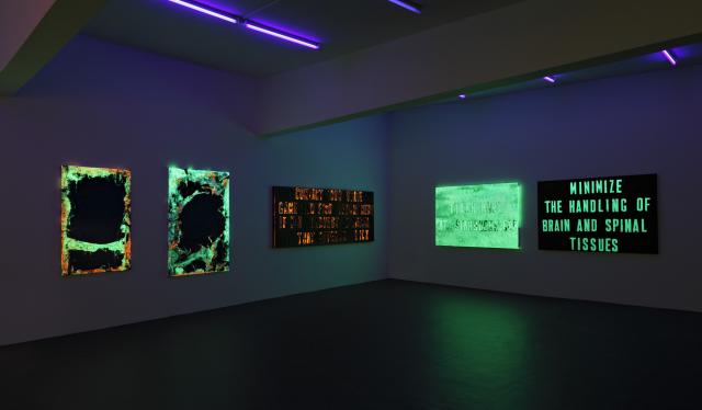 Mark FLOOD Installation View, 2010