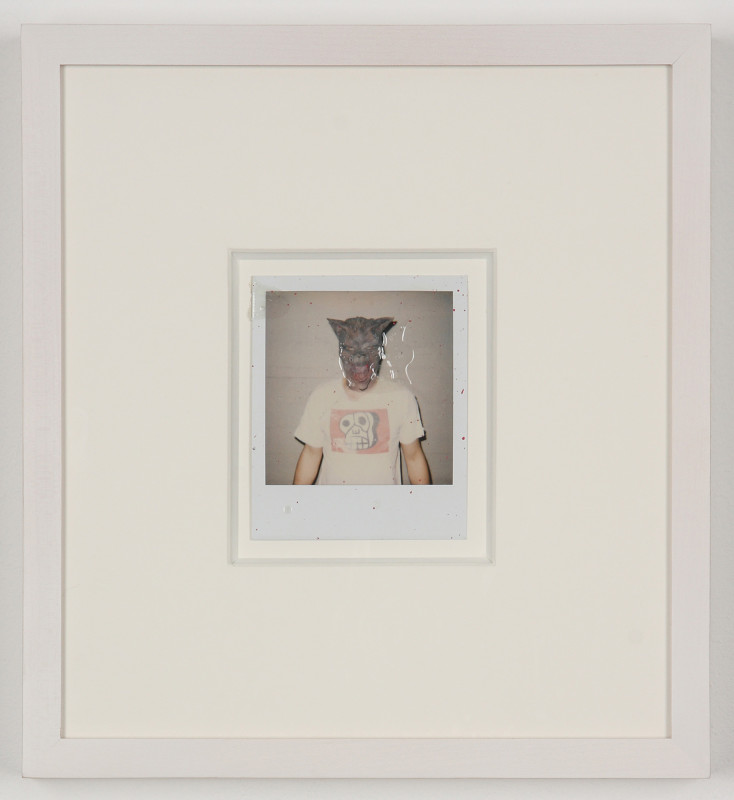 Untitled (Dicknose Polaroids) (detail)