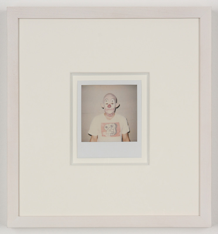 Untitled (Dicknose Polaroids) (detail)