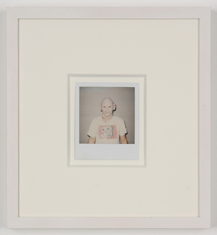Untitled (Dicknose Polaroids) (detail)
