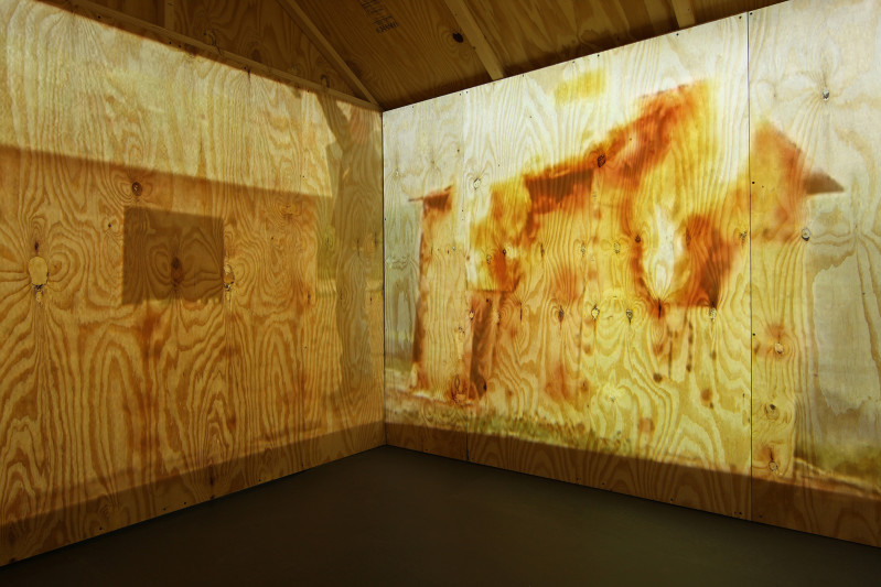 Untitled (Burning House) (detail)
