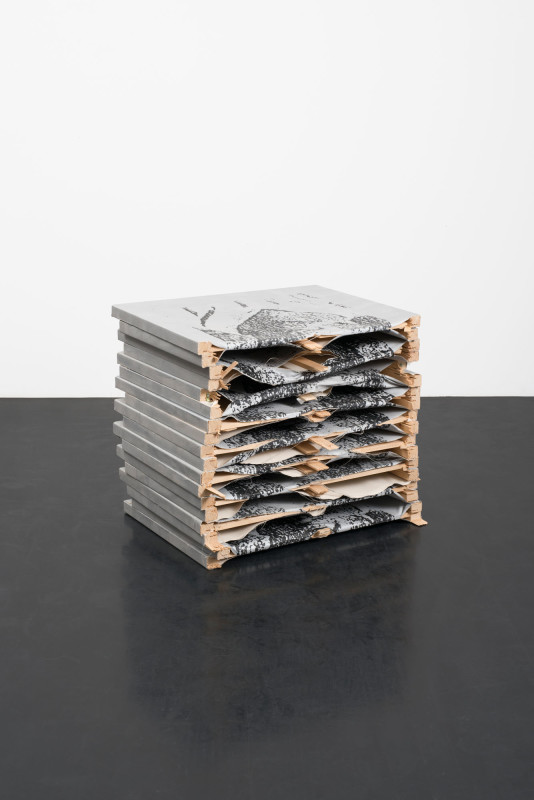 Untitled (Predator to Prey) by Dean Sameshima Peres Projects Berlin Untitled (Predator to Prey) by Dean Sameshima Peres Projects Berlin